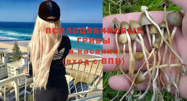 а пвп мука Дмитров