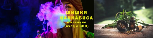 спиды Дмитриев