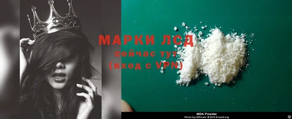 спиды Дмитриев