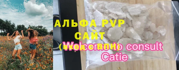 спиды Дмитриев