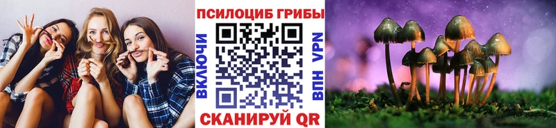 дарк нет официальный сайт  Хвалынск  Псилоцибиновые грибы GOLDEN TEACHER 